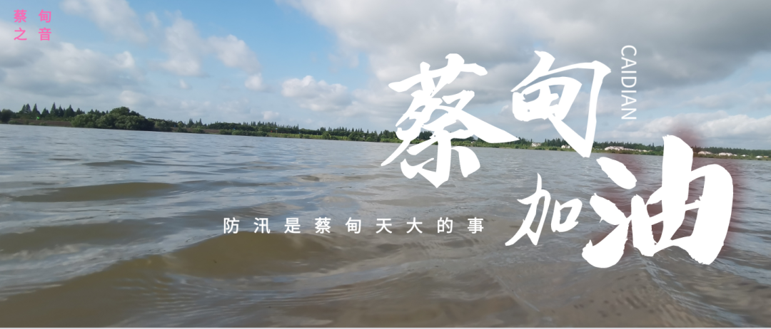 蔡甸區(qū)啟動(dòng)防汛ⅰ級(jí)應(yīng)急響應(yīng)，做好鋪土釘防汛木樁工作