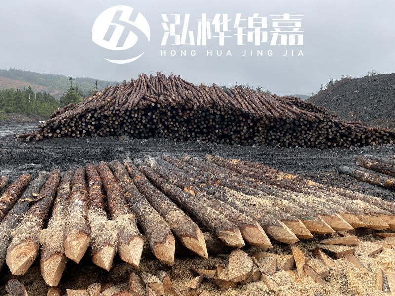 6米長松木樁有哪些作用，多少錢一根？