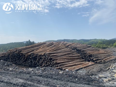 河道打樁為什么選擇松木樁來處理軟地基？-松木樁施工使用范圍