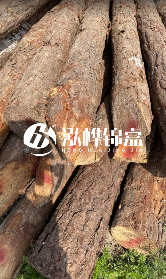 <strong>松木樁和杉木樁的用途區(qū)別？哪個更適合打樁用？</strong>