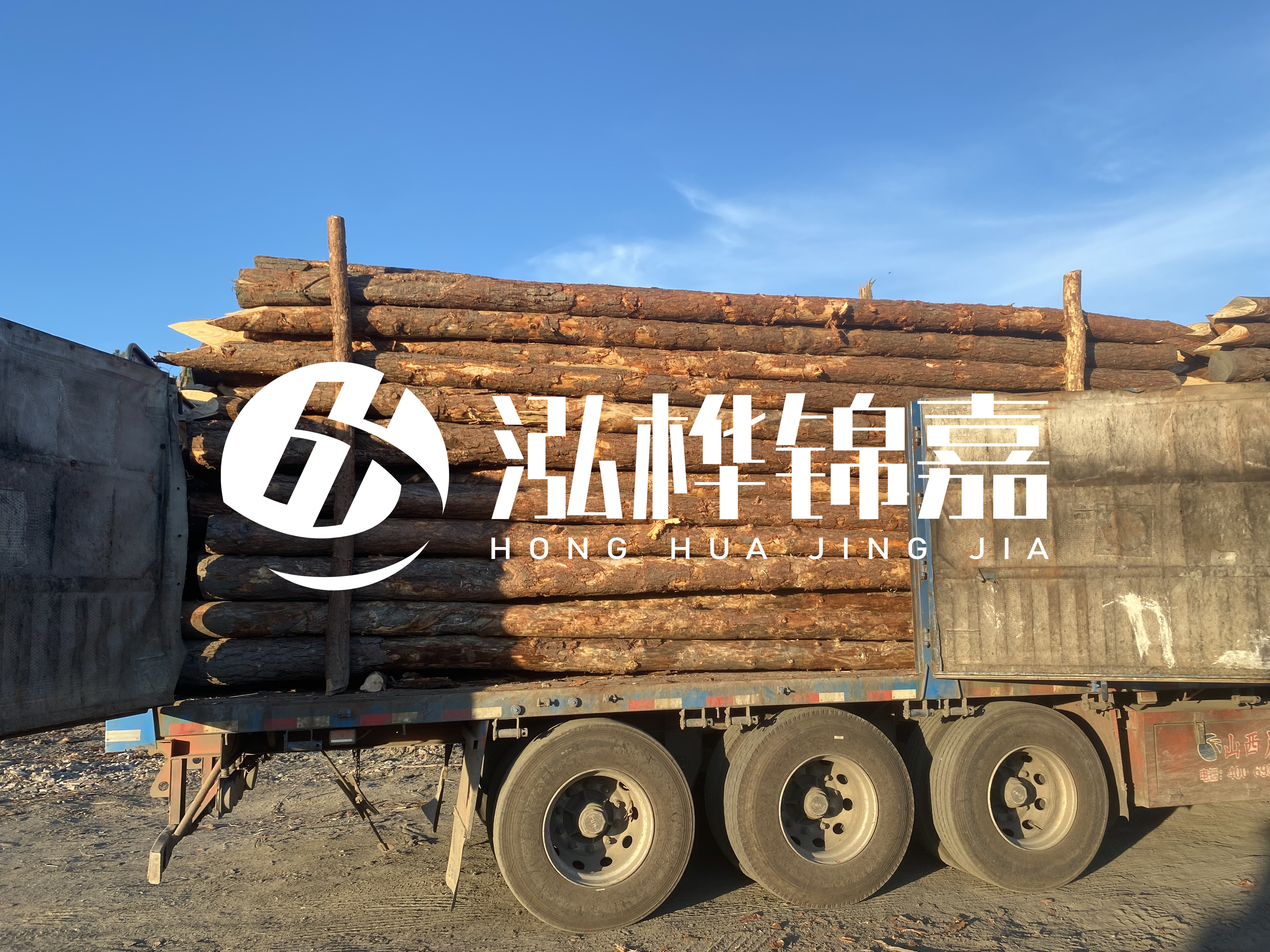 河道治理為什么要用松木樁？