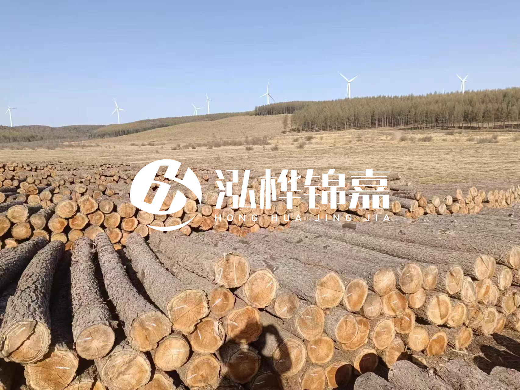 咸寧松木樁源頭廠家-哪里能買到質(zhì)量好的松木樁打樁木？