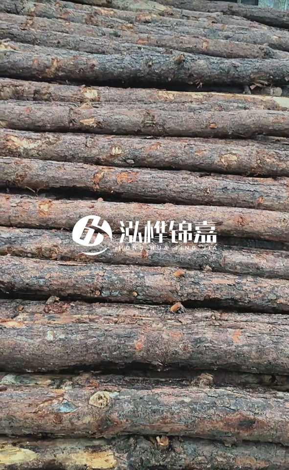 陽(yáng)江松木樁源頭廠家-哪一種打樁木最便宜？