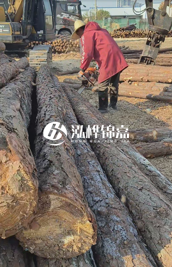 長沙打樁木批發(fā)廠家在哪里？聯(lián)系方式是什么？