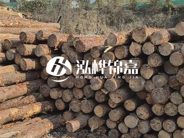 落葉松木材的主要產(chǎn)地在哪里？為什么比其他松木更耐腐蝕？