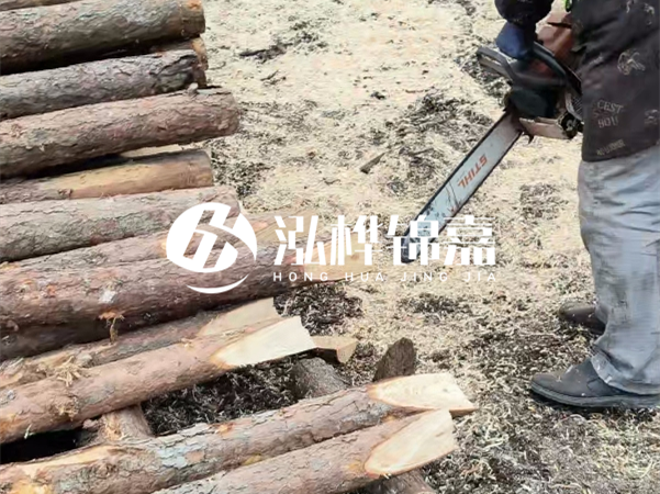 杉木樁批發(fā)廠家哪家好？產(chǎn)地直供渠道推薦！