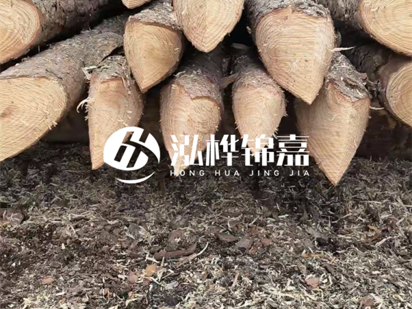 打樁木樁與鋼樁相比有哪些優(yōu)缺點(diǎn)？如何進(jìn)行后期維護(hù)？