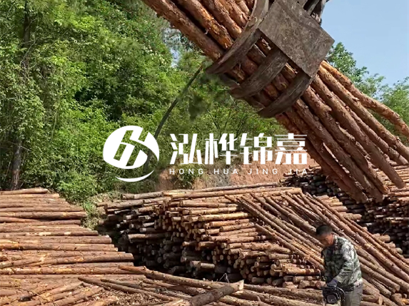 哪里能買到優(yōu)質(zhì) 3 米松木樁？長沙有松木樁批發(fā)工廠嗎？
