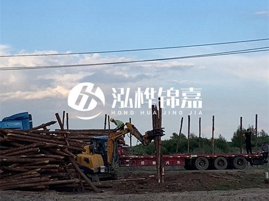 河北打樁木源頭廠家泓樺錦嘉 - 北方常用打樁木是什么？