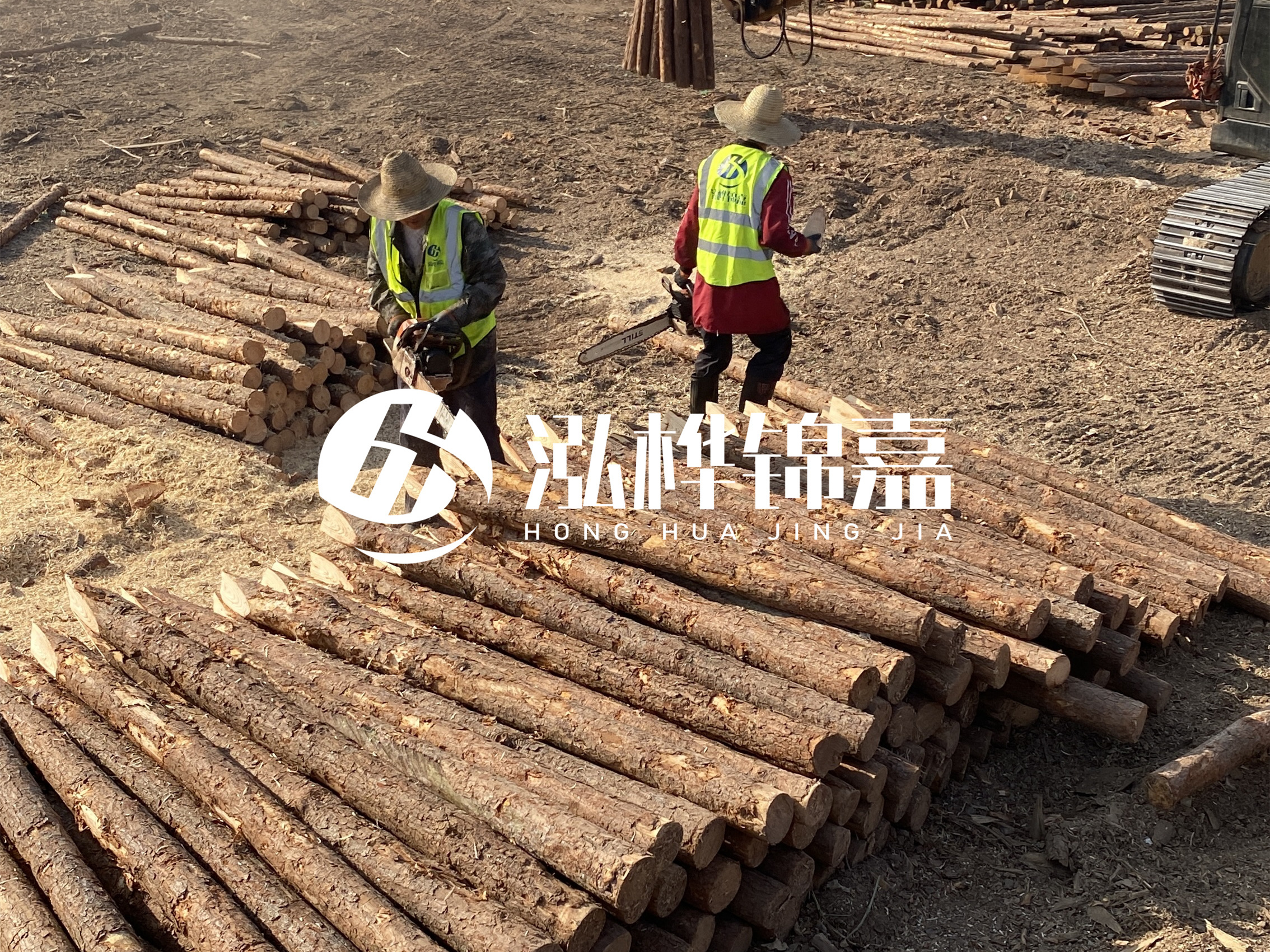 河道木樁報(bào)價(jià)在汛期前后會(huì)有波動(dòng)嗎？什么時(shí)候買最便宜？