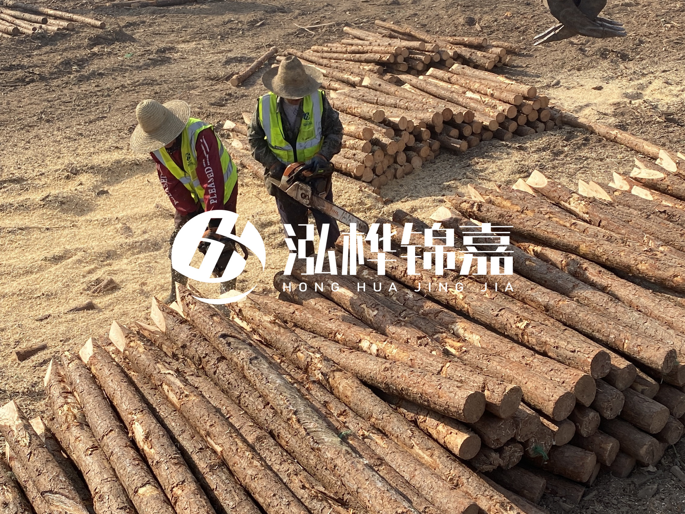 河北打樁木廠家主要生產(chǎn)哪些材質(zhì)的打樁木？產(chǎn)品有哪些規(guī)格？