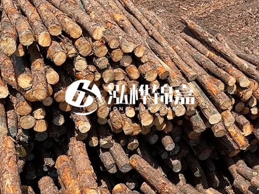 江西有哪些松木樁生產(chǎn)廠家？松木樁廠在什么位置？