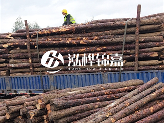 2 米大頭 12 公分松木樁價格 - 2 米大頭 14 公分松木樁多少錢一根？