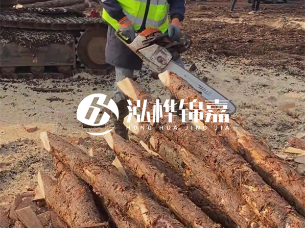 松木樁河道護坡怎么施工？打樁多少錢一根？