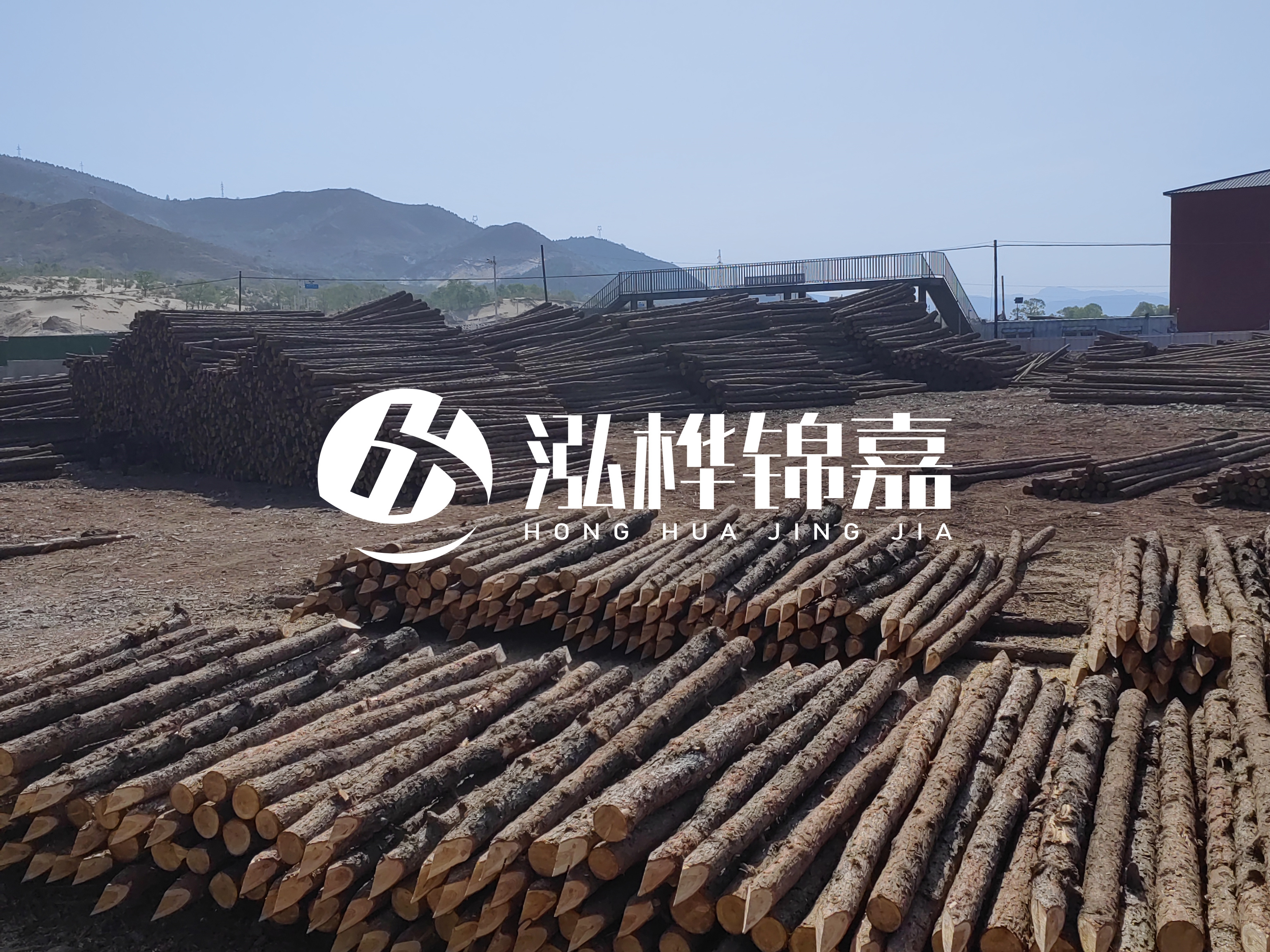 江蘇打樁木源頭廠(chǎng)家泓樺錦嘉-4米打樁木大頭14-16小頭一般多少？