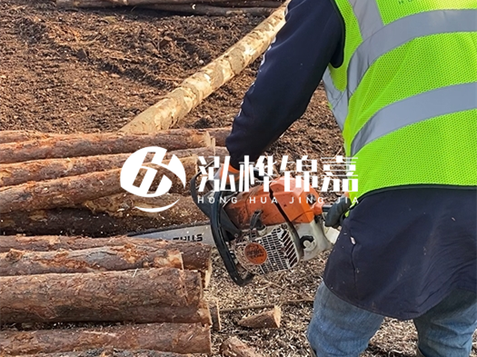 河道打木樁多少錢一根？5米直徑10松木樁打樁多少錢？