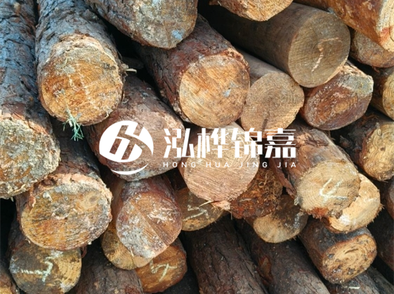 廣東松木樁源頭廠家地址在哪里-泓樺錦嘉屬于什么檔次？