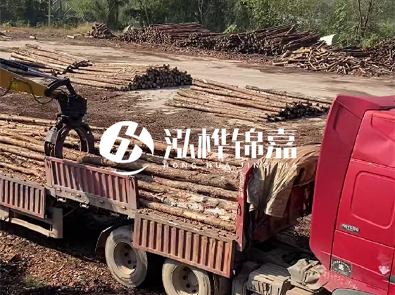 四川松木樁廠家泓樺錦嘉-哪一種打樁木最便宜？