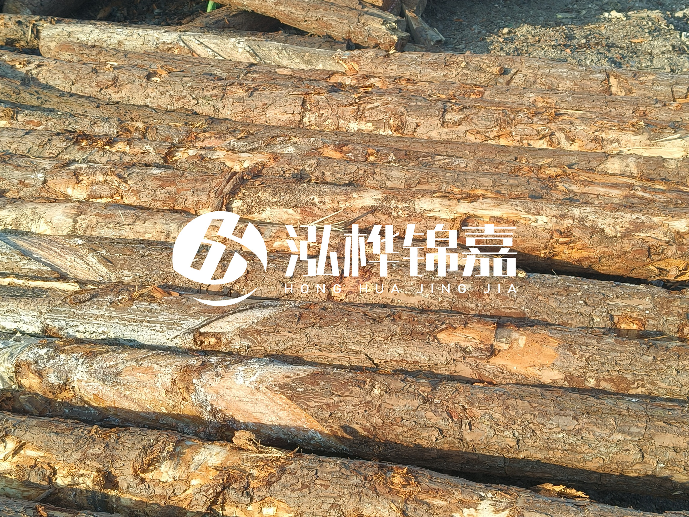 河道木樁的含水率過高會有什么問題？怎么檢查松木樁含水率？