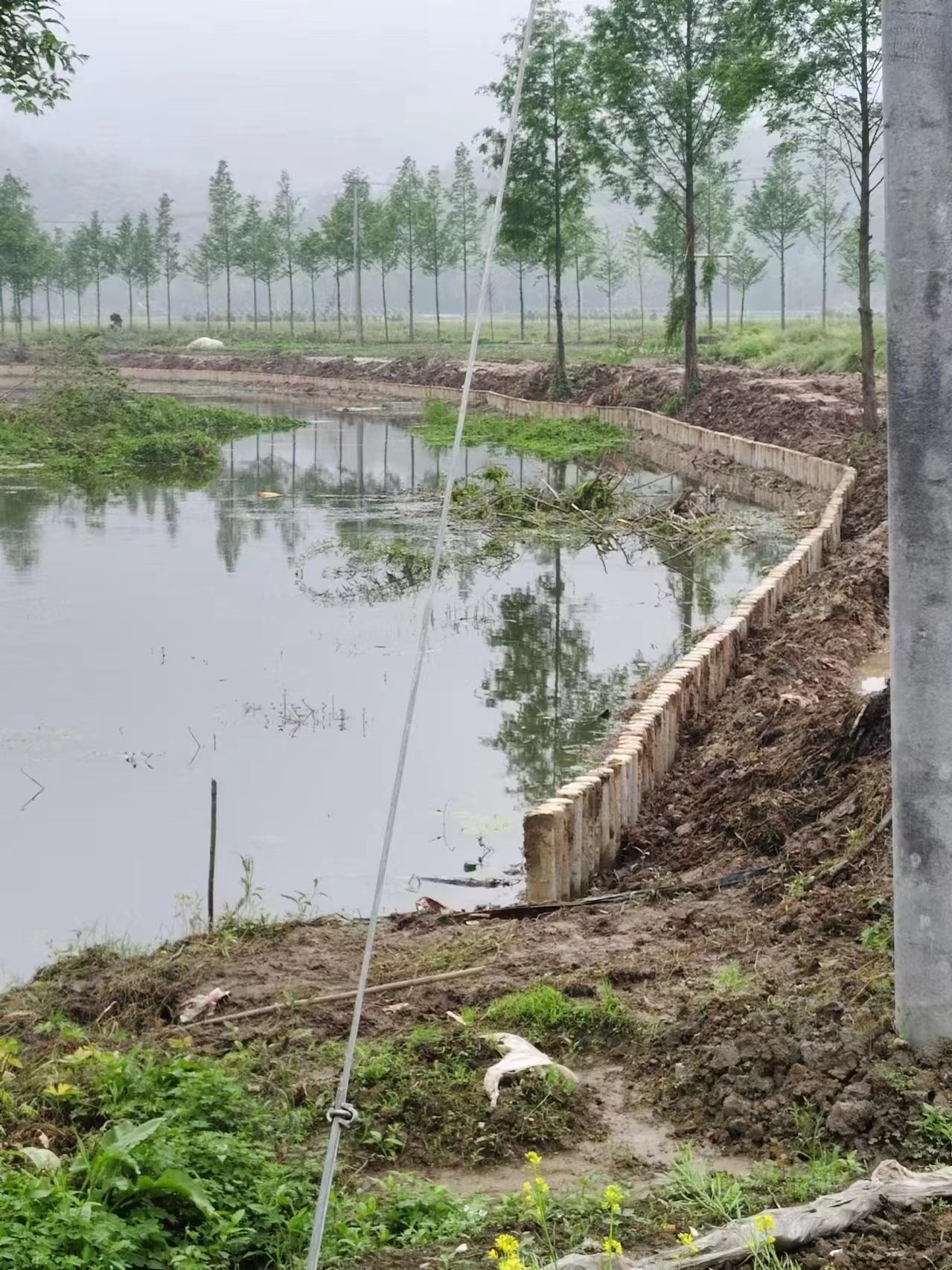 湖南水泥樁施工隊泓樺錦嘉-打水泥樁需要注意哪些事項？