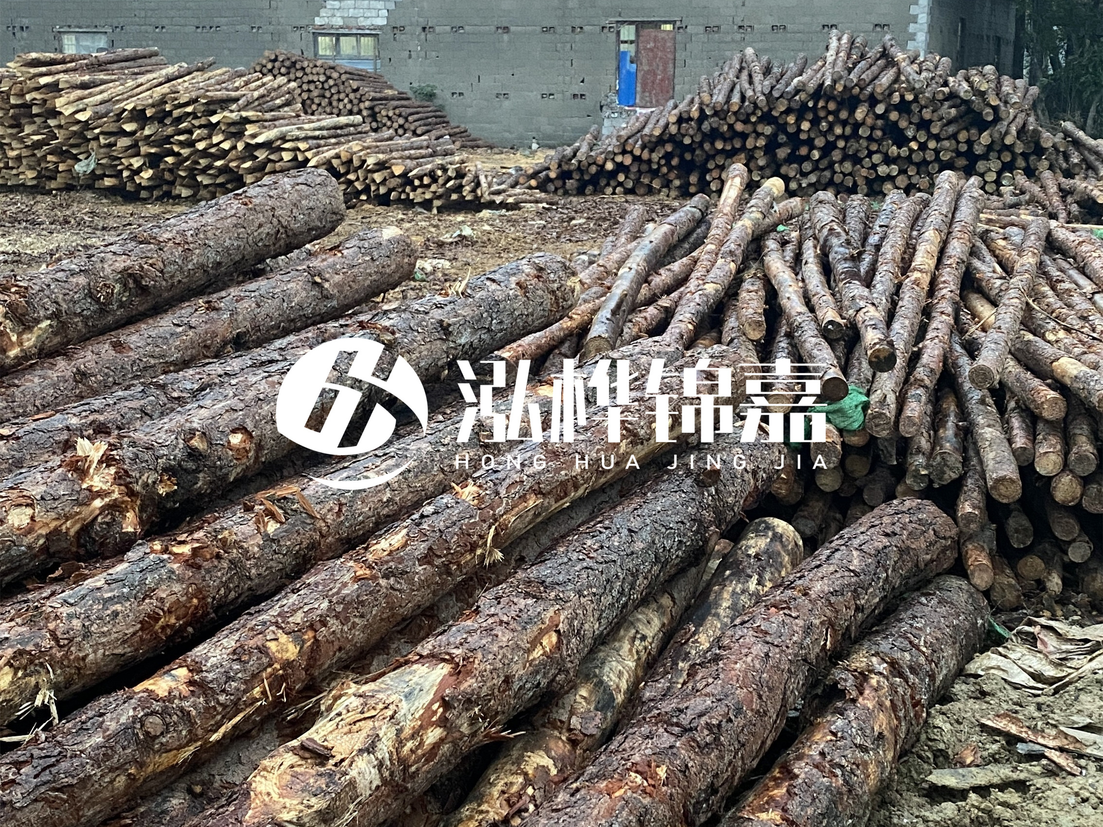 松木樁批發(fā)廠家泓樺錦嘉 - 河道松木樁如何選擇優(yōu)質(zhì)木材？