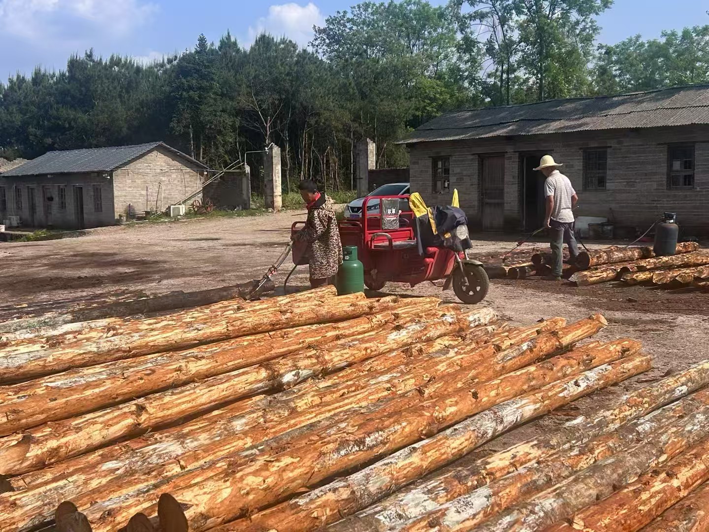 松木樁批發(fā)廠家泓樺錦嘉-圍堰松木樁為什么要交錯(cuò)排列？