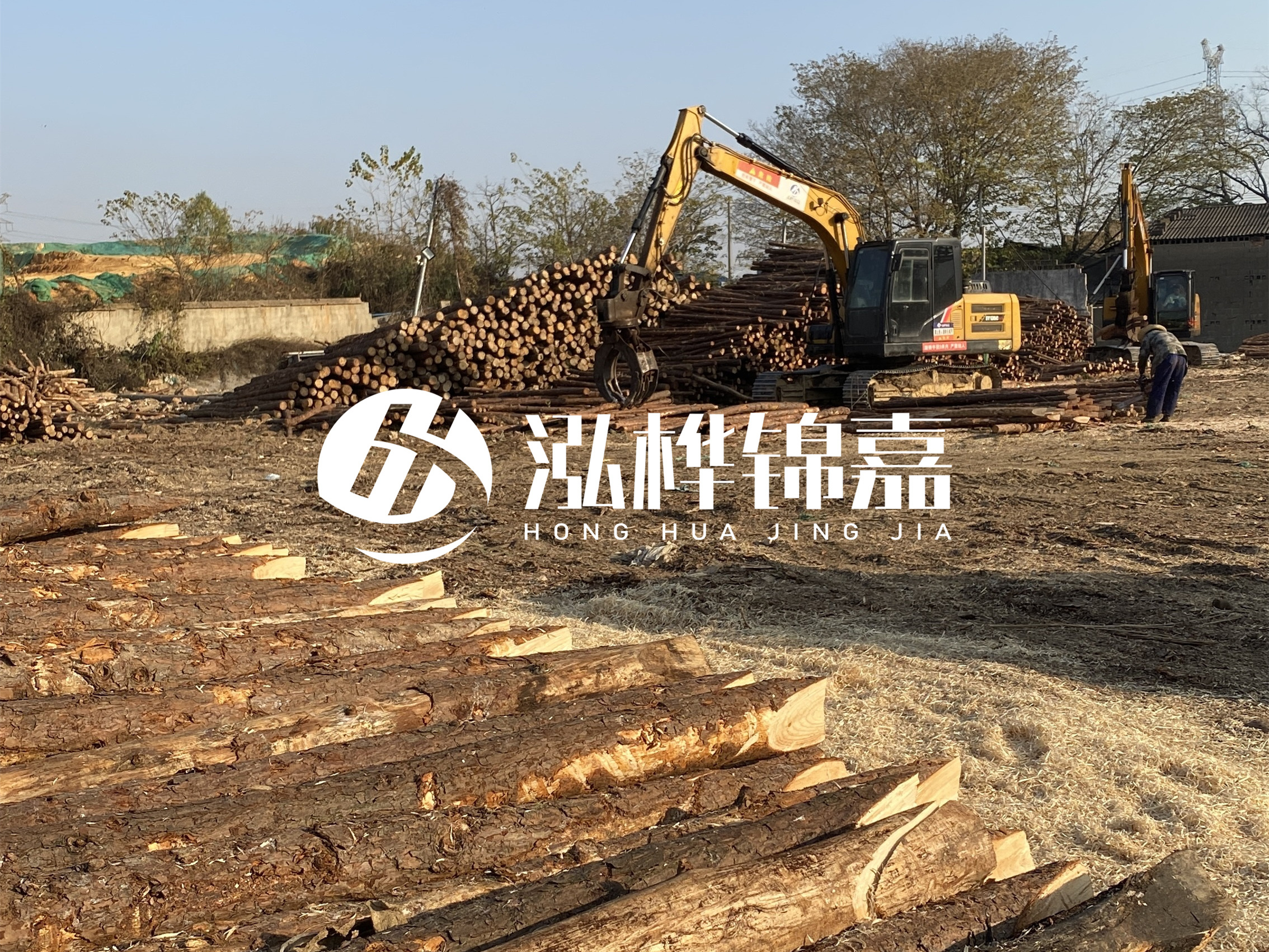 松木樁批發(fā)廠家泓樺錦嘉-松木樁廠家能開發(fā)票嗎？