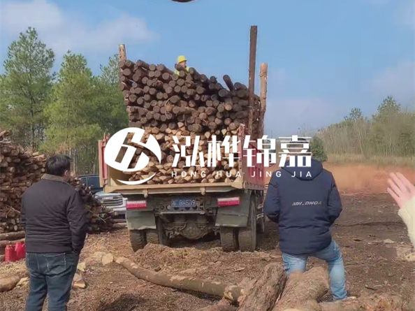 松木樁廠家泓樺錦嘉-存放超過(guò)半年的原木松木樁還能用嗎？