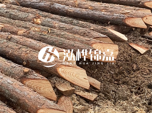 松木樁廠家泓樺錦嘉-河道兩邊打樁是干嘛的？