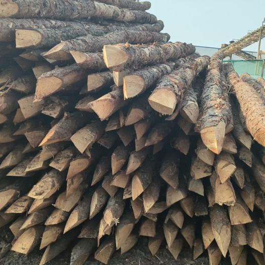 松木樁施工隊泓樺錦嘉 - 河道改造用什么規(guī)格的打樁木？