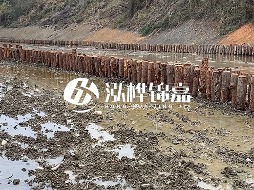 松木樁施工隊泓樺錦嘉 - 河道打松木樁施工流程？