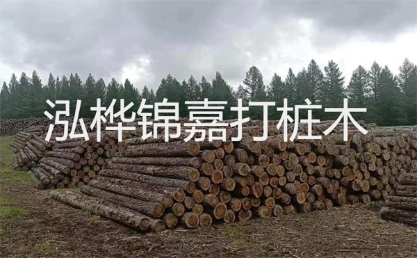選擇紅磚護(hù)坡，打造獨(dú)特的美麗景觀