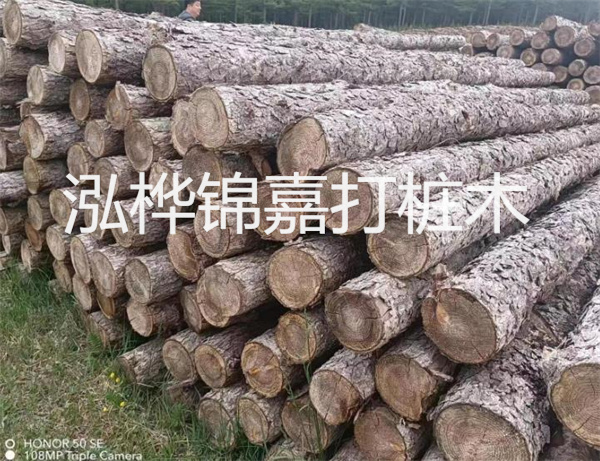 高效修補(bǔ)，保駕護(hù)航！水泥路面高強(qiáng)度修補(bǔ)料為您解決煩惱！