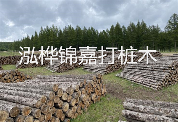 預(yù)制松木樁施工工藝：優(yōu)質(zhì)材料，高效快速，堅(jiān)固耐用