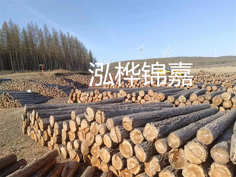 用路基松木樁施工方案提升工程質(zhì)量描述：了解路基松木樁施工方案的重要性，提高工程質(zhì)量關(guān)鍵詞：路基松木樁，施工方案，工程質(zhì)量